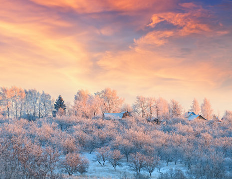 Rural lodges in a winter garden covered with hoarfrost at sunset
