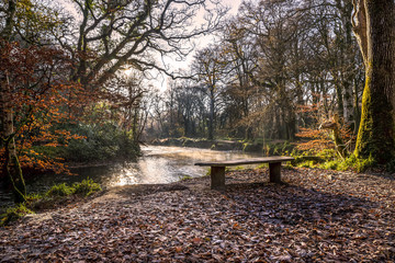 bench by the river on a misty autumn morning, respryn, cornwall, uk