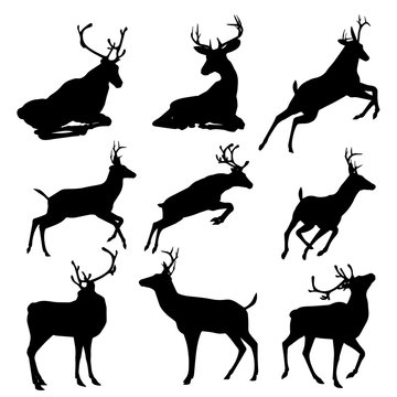 Set of deers  silhouette illustration, isolated on white background. .