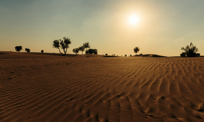 Sunset in the Arabian desert