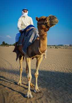 Riding Camel Images – Browse 15,967 Stock Photos, Vectors, and Video | Adobe Stock Riding Camel Images – Browse 15,967 Stock Photos, Vectors, and Video | Adobe Stock