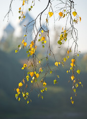 Orthodox church is seen blurred through branches of autumn trees