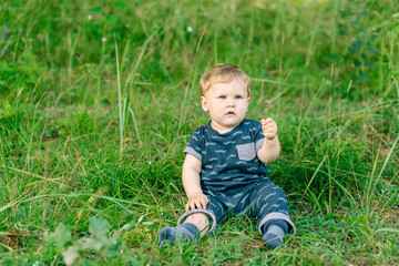 chubby little boy in dark clothes sitting on the grass in the park on a summer day