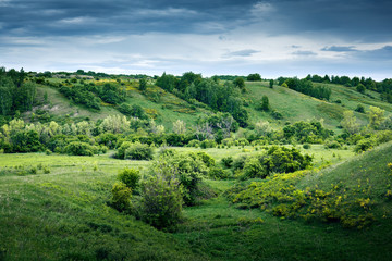 Fototapeta na wymiar Green valley with a ravine