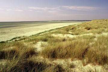 manche cotentin peninsula noramndy france