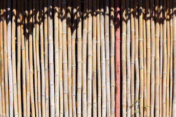abstract bamboo wall background.