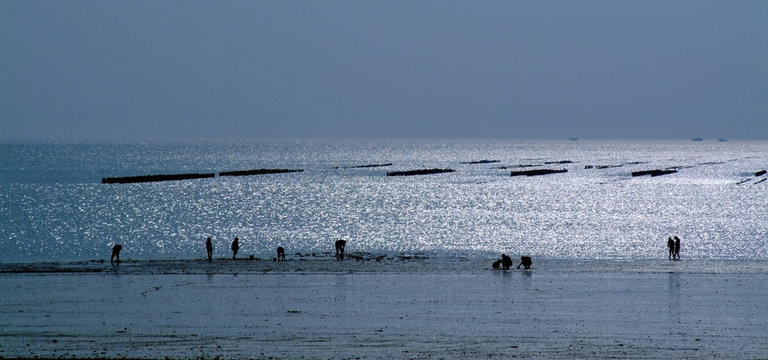 Manche Cotentin Peninsula Noramndy France