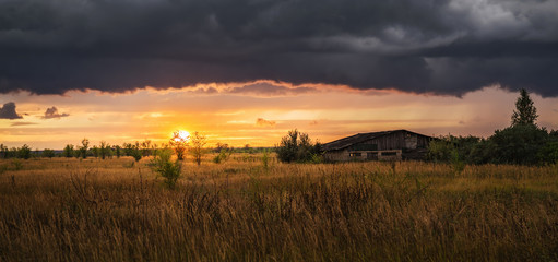 Sunset in a field