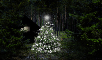 Weihnachtsbaum im Wald