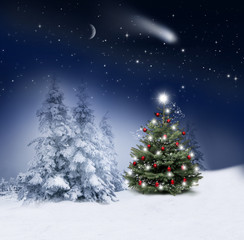 Fototapeta na wymiar Weihnachtsbaum in Winternacht