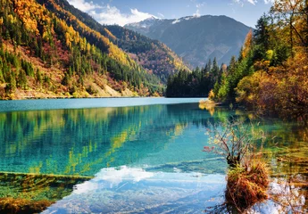 Foto op Canvas Beautiful view of the Arrow Bamboo Lake with azure water © efired