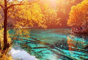 Foto auf Acrylglas Antireflex Beautiful view of the Five Flower Lake (Multicolored Lake) © efired