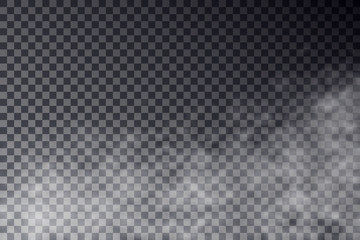 Vector transparent mist effect isolated on dark background. Smok © ihorsw