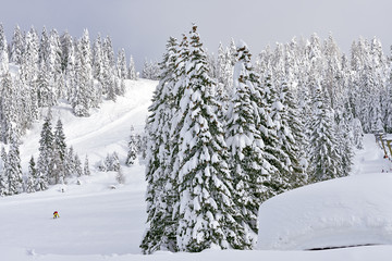 piste da sci - paesaggio innevato