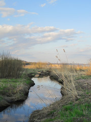 Countryside landscape of river bank with stream and dry grass in pastel colors. Gulf of Finland