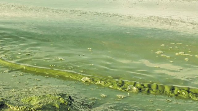 Polluted water in lake or river has intensive green color. Algal bloom is a result of environmental pollution that leads to global warming and climate change on the Planet. Green waves are crushing.