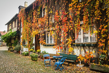 Fototapeta na wymiar Little street in a german town with a house, overgrown with virginia creeper, Germany