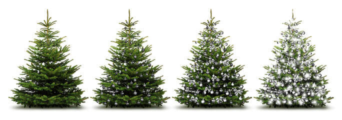 Weihnachtliche Silberne Tannenbäume