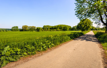 Straight and narrow country road in springtime