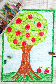 colorful drawing: apple tree