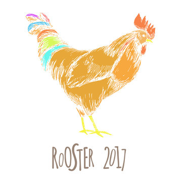 Rooster. Cock Illustration in Vintage hand drawn style. Symbol of 2017 New Year. Vector