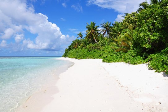 Tropical beach with palm trees, Thinadhoo island, Vaavu Atoll, Maldives