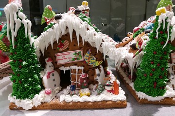 Merry christmas and Happy New Year, homemade icing house cookies with Santa, reindeer snowman and friend (long shot house1)