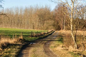 Lerig väg genom åkrar