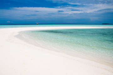 Obraz premium Sand bank in Maldives, luxury white sand beach