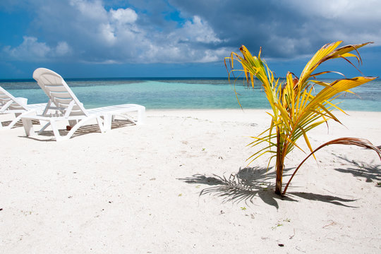 Tropical beach in Maldives, island Thinadhoo
