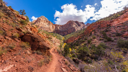 Narrow pathway through the canyon. The rays of the sun illuminate red cliffs. Zion National Park, Utah, USA