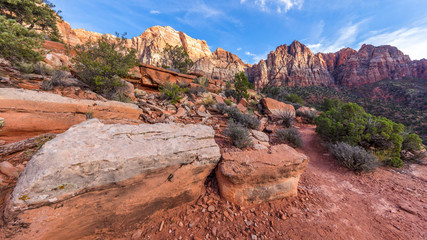 Amazing mountain landscape. Scenic view of the canyon. Zion National Park, Utah, USA