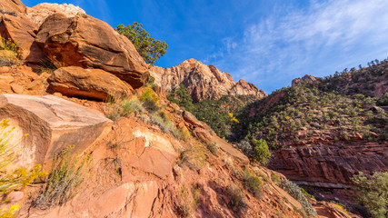 Breathtaking view of the canyon. The rays of the sun illuminate red cliffs. Zion National Park, Utah, USA