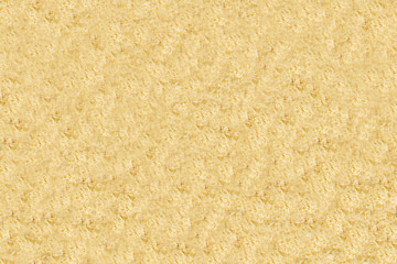 texture large plate of grated cheese