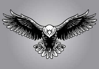 Naklejka premium hand drawing style of eagle