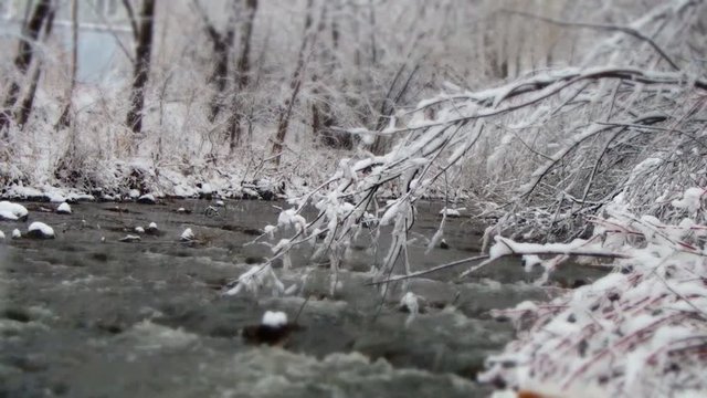 rivi&egrave;re en hiver