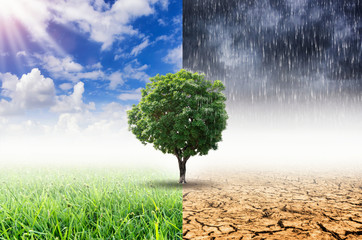 Fototapeta Concept of climate change. obraz