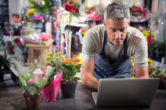 Male Florist Using Laptop