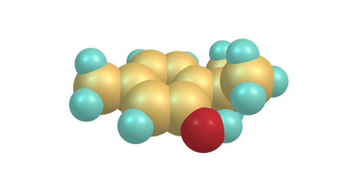 Thymol molecular structure isolated on white