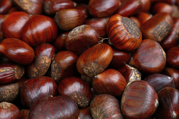 Fresh raw chestnuts (marrons) close up