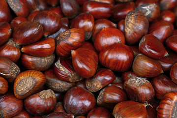 Fresh raw chestnuts (marrons) close up