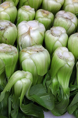 Fresh green Bok choy Chinese cabbage leaves
