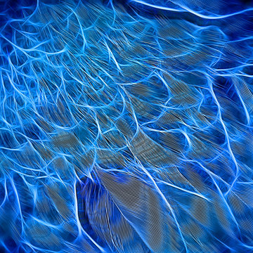 Neon glowing pattern of the  fragment of the feathers of a bird      