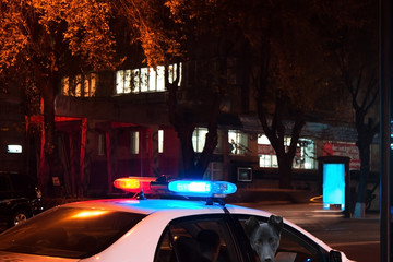 a police car of night city © andranik123