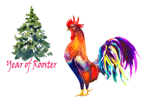 Rooster. Rooster Year. Chinese New Year of the Rooster. Watercolor Rooster New Year card.