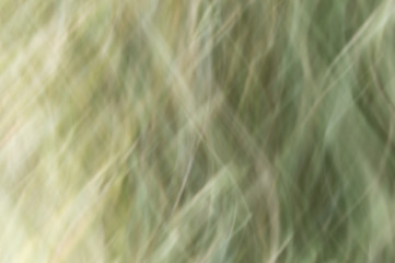 Blurred abstract background. Texture ripples.