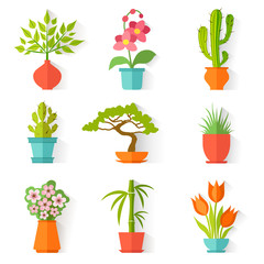 Set of house plants and flowers in flat style isolated on white background. Icons of room plants in pots for interior design.