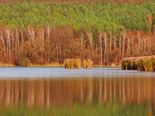 Autumn forest reflected on the calm lake