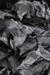 Ashes from paper burned