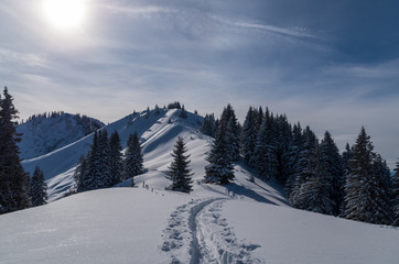 Fototapeta premium Ski touring track in beautiful sunny winter landscape, Oberstdorf, Germany